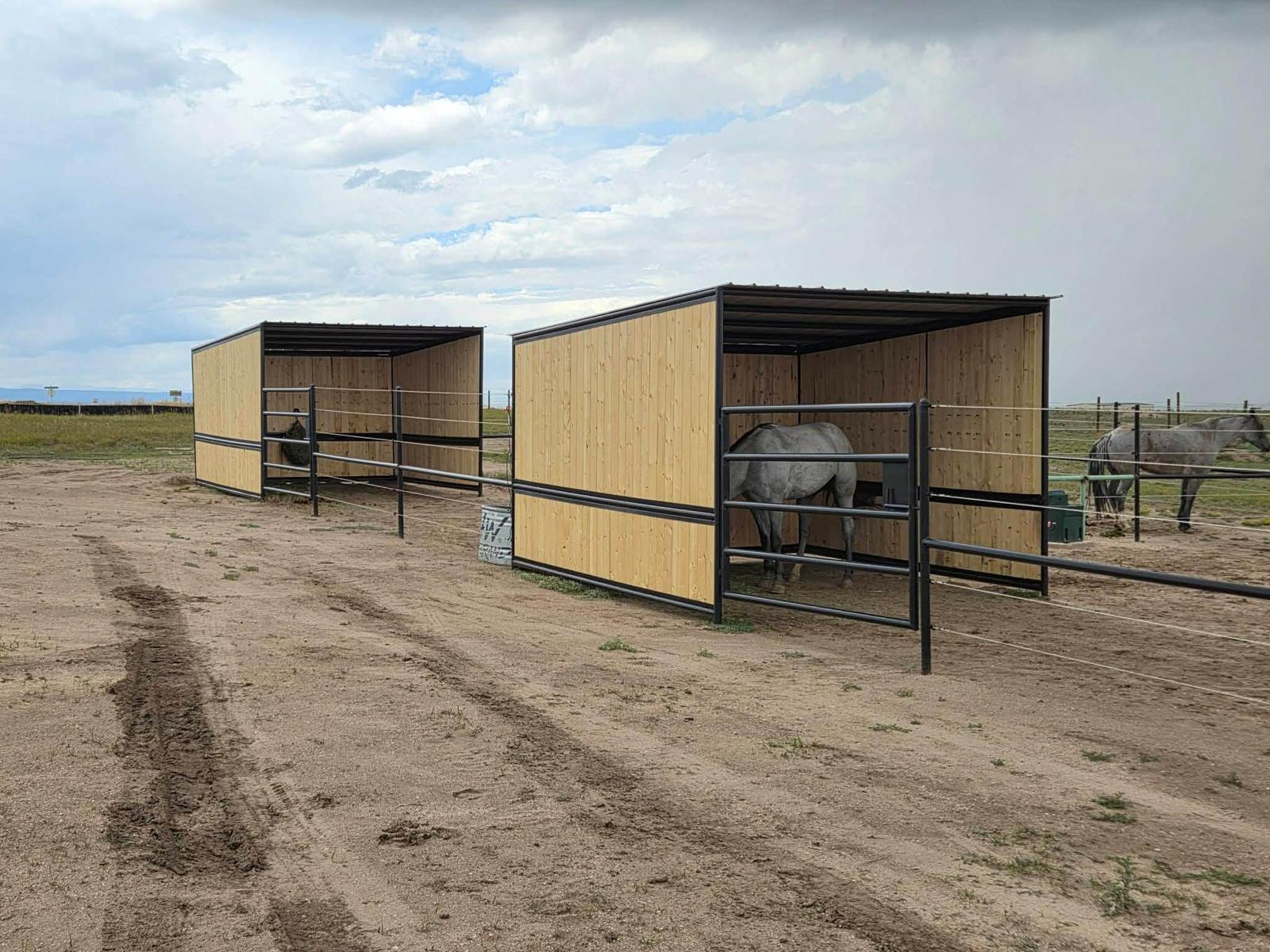 Custom coop and lean-to style enclosure